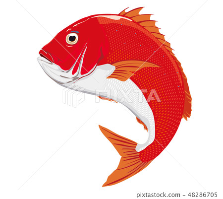 punsch clipart fish