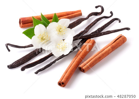 Vanilla sticks and cinnamon with flower isolated on white background 48287050