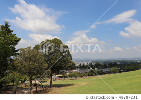 Nara Park · Wakakusa 48287231