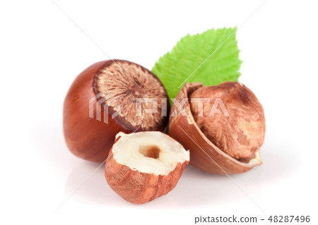 Hazelnuts with leaves isolated on white background Hazelnuts with leaves isolated on white background 48287496