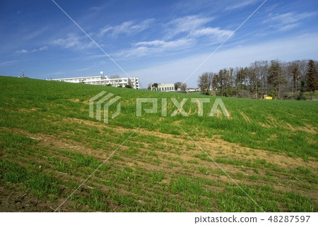 Spring green and earth and sky 48287597