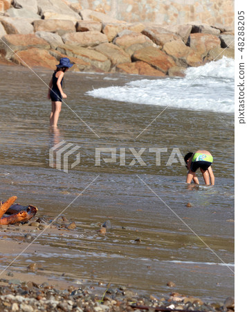 這是一個夏天的海邊夏天〜 這是一個夏天的海邊夏天〜 48288205