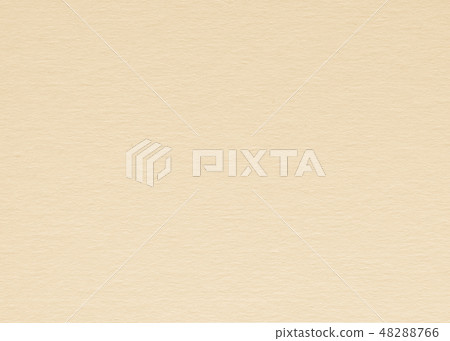 Bagasse cardboard beige brown sepia color texture Bagasse cardboard beige brown sepia color texture 48288766
