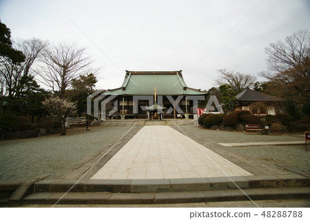 藤澤市Ryugyoji“大廳” 48288788