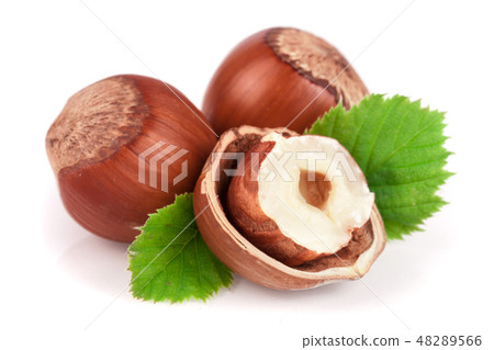 Hazelnuts with leaves isolated on white background 48289566