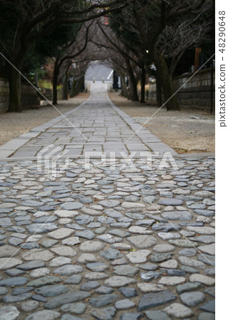 藤澤市Ryugyoji“Irohazaka” 藤澤市Ryugyoji“Irohazaka” 48290648