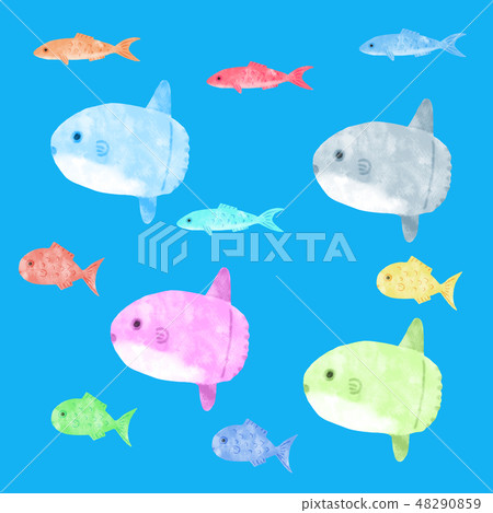 Colorful fish Colorful fish 48290859