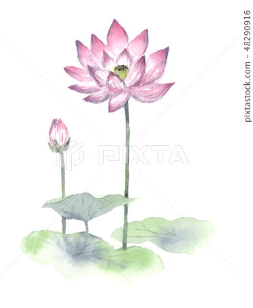 蓮花水墨畫風格 蓮花水墨畫風格 48290916