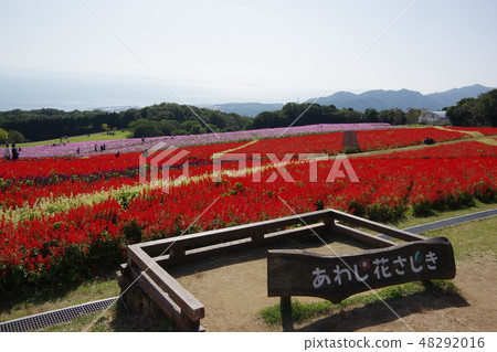 花廊 花廊 48292016