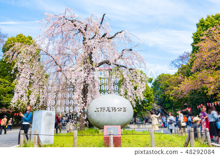 Ueno Imperial Park Spring (entrance in front of Ueno Park, Taito-ku, Tokyo) Photographed in March, 2018 Ueno Imperial Park Spring (entrance in front of Ueno Park, Taito-ku, Tokyo) Photographed in March, 2018 48292084