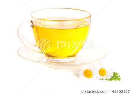 Herbal tea with fresh chamomile flowers isolated on white background Herbal tea with fresh chamomile flowers isolated on white background 48292137