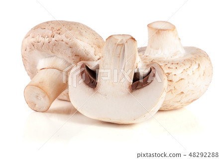 Fresh champignon mushrooms isolated on white background 48292288