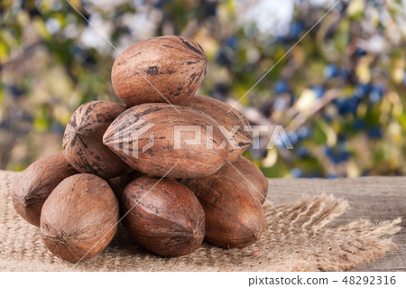a bunch of pecan nuts on a wooden background with burlap and blurred garden background 48292316