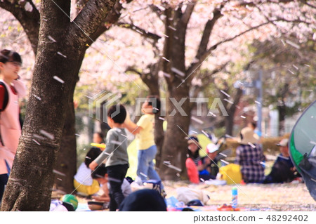 櫻花落下 48292402