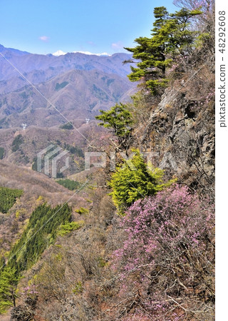 Yashiro Azalea's Blooming Capstone Maruyama 48292608