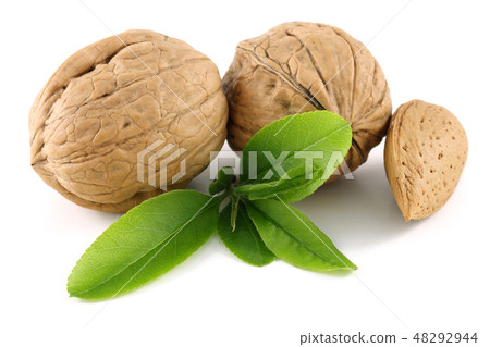 Walnuts and almond with leaves isolated 48292944