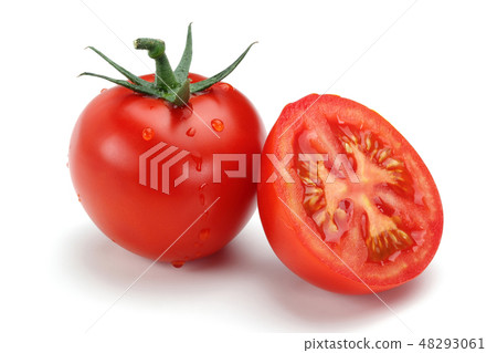 Fresh tomatoes isolated on white Fresh tomatoes isolated on white 48293061