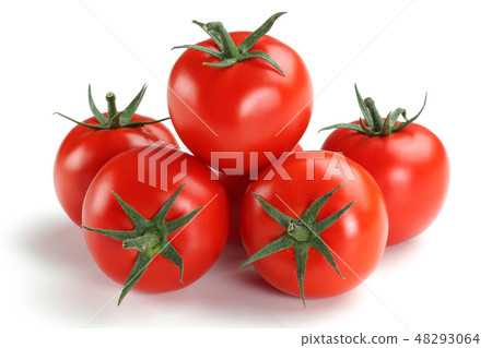 Fresh tomatoes isolated on white Fresh tomatoes isolated on white 48293064