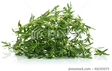 Fresh green thyme isolated on white 48293075