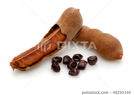 Fresh tamarind fruit isolated on white Fresh tamarind fruit isolated on white 48293140