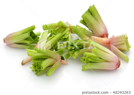 Chopped spinach roots isolated on white Chopped spinach roots isolated on white 48293263