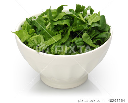Fresh chopped spinach in white bowl isolated Fresh chopped spinach in white bowl isolated 48293264