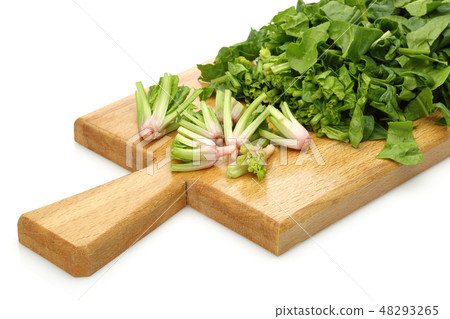 Fresh chopped spinach on wooden board Fresh chopped spinach on wooden board 48293265