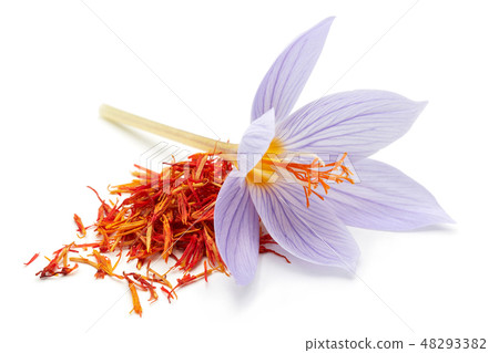 Saffron with crocus flower isolated Saffron with crocus flower isolated 48293382