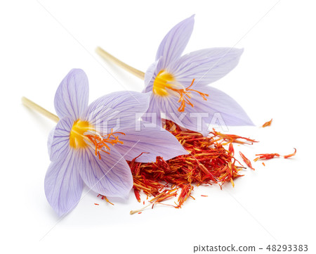 Saffron with crocus flower isolated Saffron with crocus flower isolated 48293383