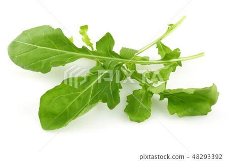 Bunch of fresh rucola isolated on white 48293392