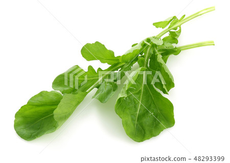 Bunch of fresh rucola isolated on white 48293399