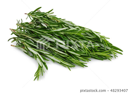 Fresh rosemary isolated on white Fresh rosemary isolated on white 48293407