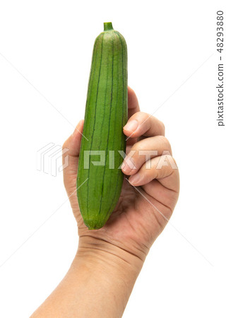 Navera Navera 48293880