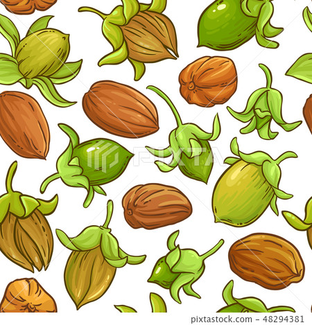 jojoba vector pattern jojoba vector pattern 48294381
