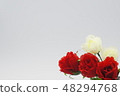 Roses of red and white 48294768
