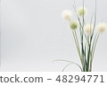 Ikebana 48294771