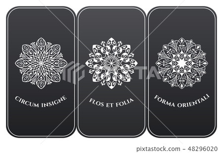 Vector set of luxury packaging templates in modern floral style. 48296020