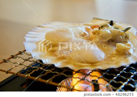 多汁！扇貝扇貝 48296255