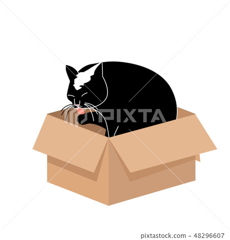 Cute Big Cat Licking a Paw in a Small Cardboard Box. Simple illustration for cards or prints, vector 48296607