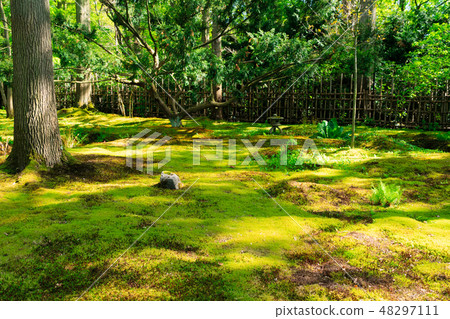 japanese garden in The Hague japanese garden in The Hague 48297111