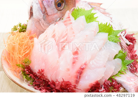 美味的鯛魚生魚片 48297119