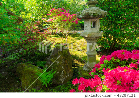 japanese garden in The Hague 48297121