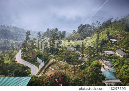 Town in the middle of tea plantations 48297893