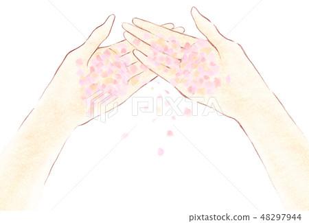 Pink flower shower: Cherry blossom petals falling from the palm of your hand Pink flower shower: Cherry blossom petals falling from the palm of your hand 48297944