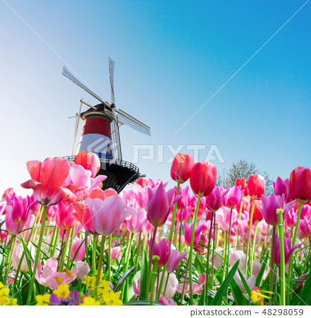 Windmill of Leiden 48298059