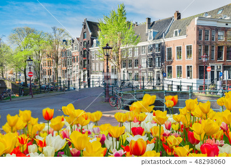 Houses of Amstardam, Netherlands Houses of Amstardam, Netherlands 48298060