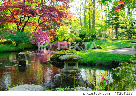 japanese garden in The Hague 48298138
