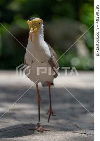 Counterbore 48299395