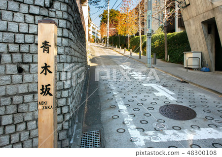 東京都港區南麻布青木坂 48300108