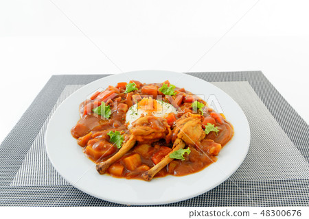 美味的咖哩飯 美味的咖哩飯 48300676